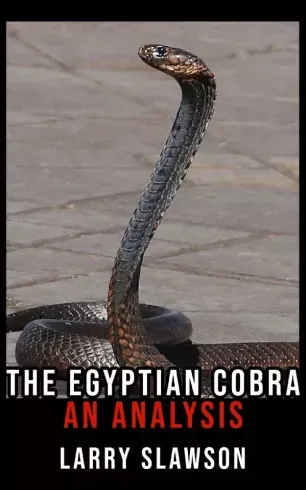 Korlátozott ajánlat The Egyptian Cobra - E-könyv