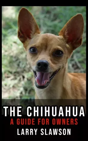Vedd meg online The Chihuahua - E-könyv