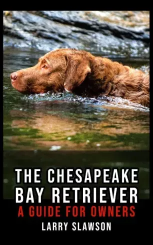 The Chesapeake Bay Retriever - E-könyv Vásárlói kedvenc