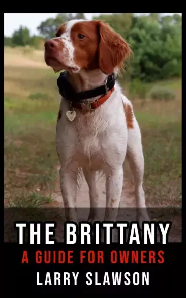 Kiárusítás The Brittany - E-könyv