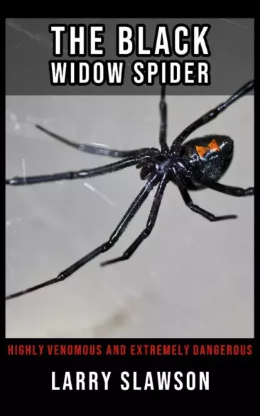 The Black Widow Spider - E-könyv Kedvezményes ár