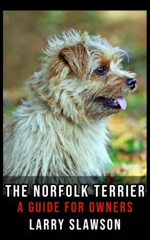 Kedvezményes ár The Norfolk Terrier - E-könyv