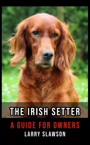 Exkluzív ajánlat The Irish Setter - E-könyv