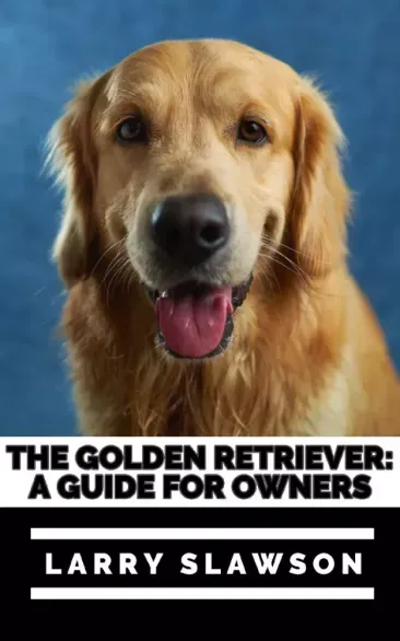 The Golden Retriever - E-könyv Utolsó esély