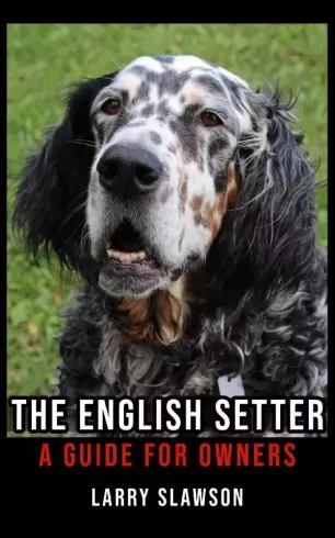 The English Setter - E-könyv Exkluzív ajánlat