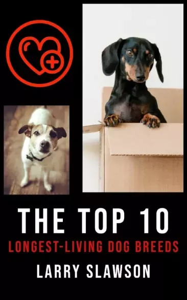 Csak ma The Top 10 Longest-Living Dog Breeds - E-könyv