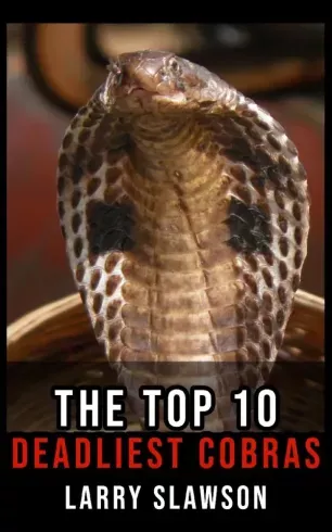 The Top 10 Deadliest Cobras - E-könyv Kedvezmény