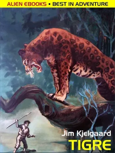 Expressz kézbesítés Tigre - E-könyv