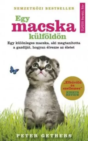 Csak ma Egy macska külföldön - E-könyv