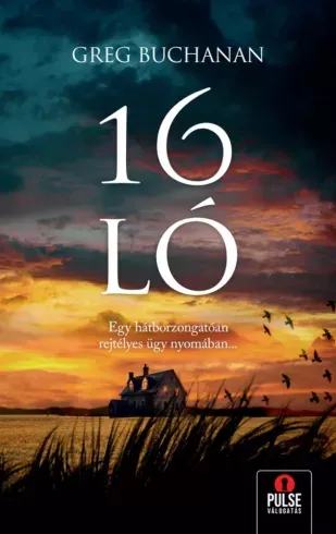 Árengedmény 16 ló - E-könyv
