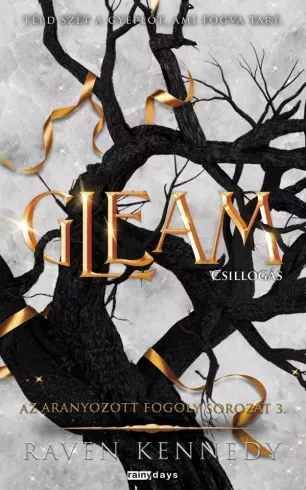 Gleam - Csillogás - E-könyv Árcsökkenés