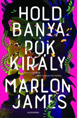 Holdbanya, Pókkirály - E-könyv Akciós ár
