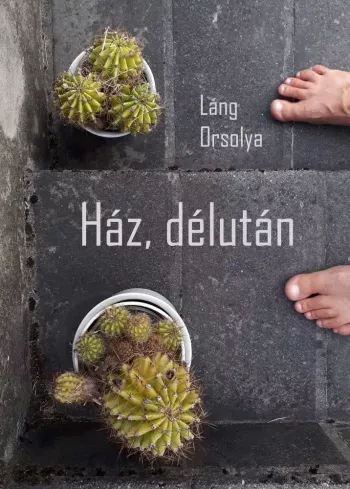 Újdonság Ház, délután - E-könyv