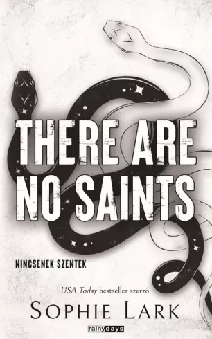 There Are No Saints - E-könyv Akció