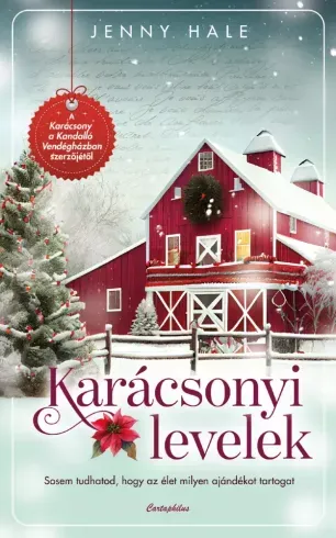 Különleges ajánlat Karácsonyi levelek - E-könyv