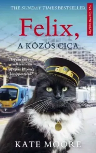 Szuper akció Felix, a közös cica - E-könyv