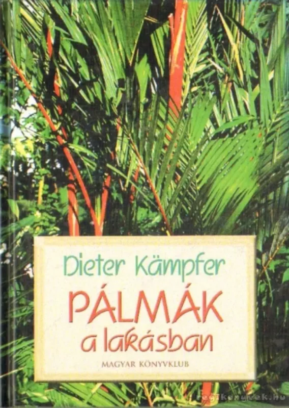 Ajánlat Pálmák a lakásban
