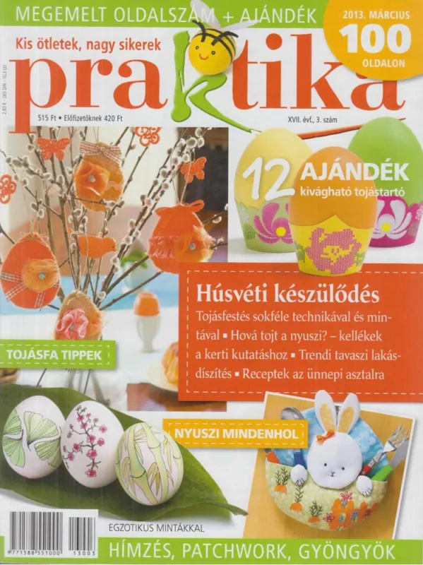 Rendeld meg most Praktika 2013. március