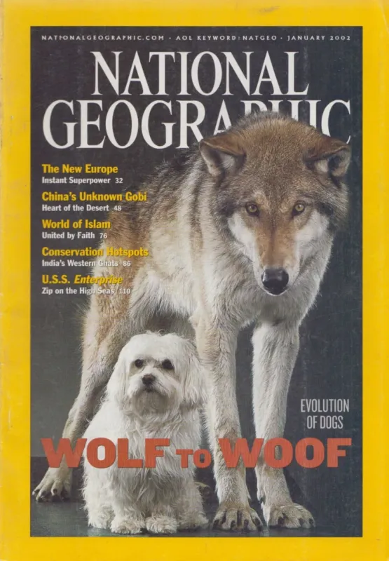 Szuper akció National Geographic 2002 January