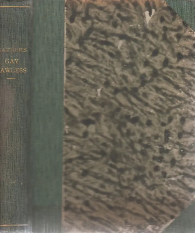 Szuper akció Gay Lawless