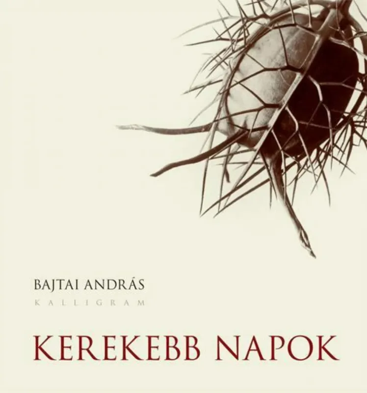 Árengedmény Kerekebb napok