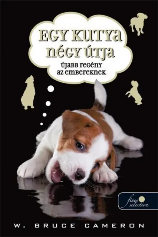 Egy kutya négy útja Újdonság
