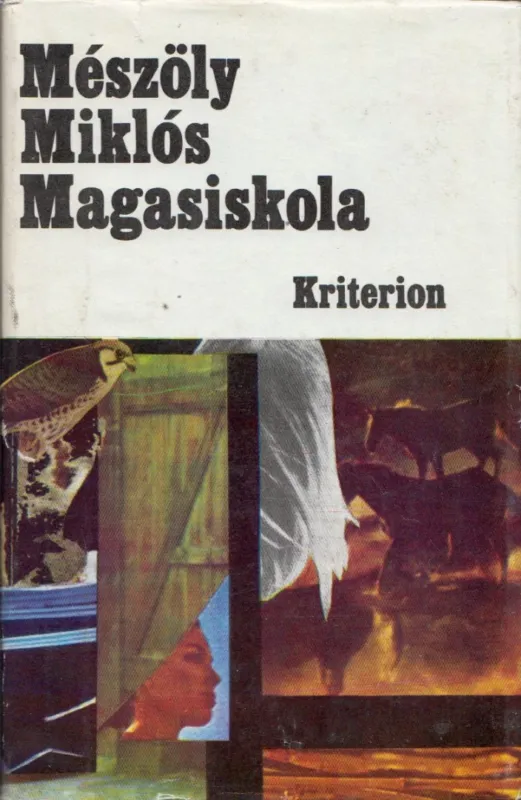 Magasiskola Újdonság