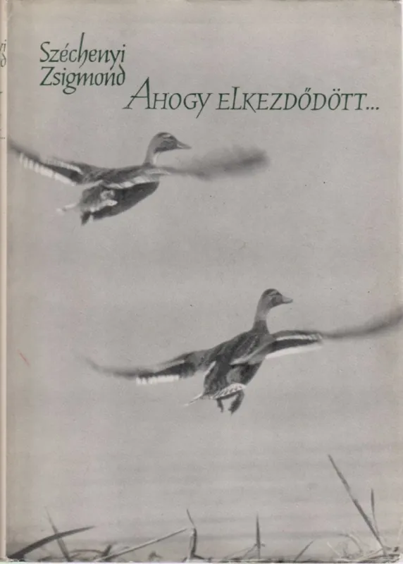 Ahogy elkezdődött... Szezonális akció