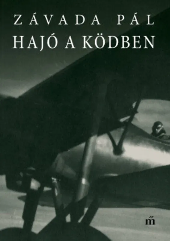 Expressz kézbesítés Hajó a ködben