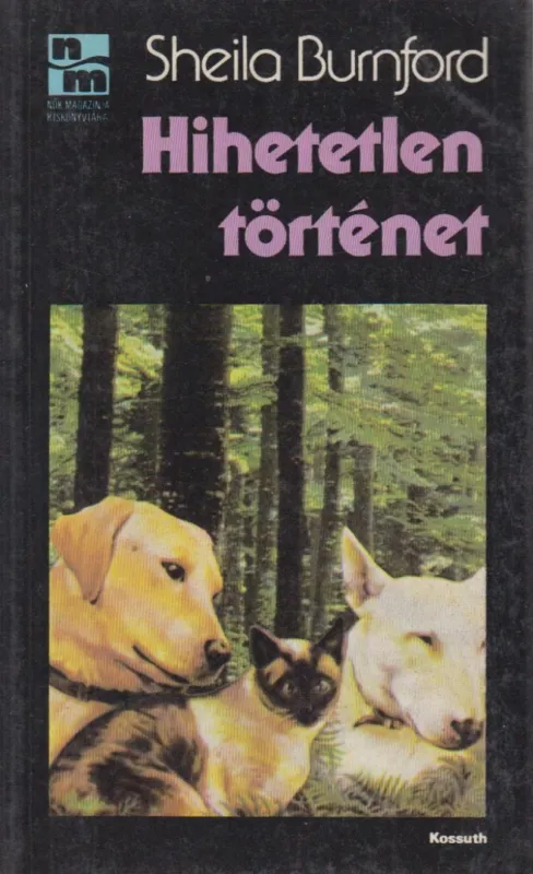 Vedd meg online Hihetetlen történet