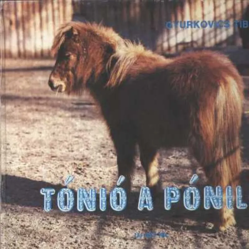 Tónió a póniló Legkelendőbb