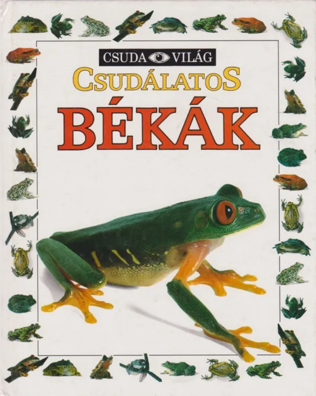 Csudálatos békák Olcsóbb