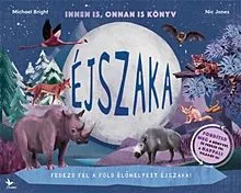 Nappal / Éjszaka - Innen is, onnan is könyv Nézd meg most